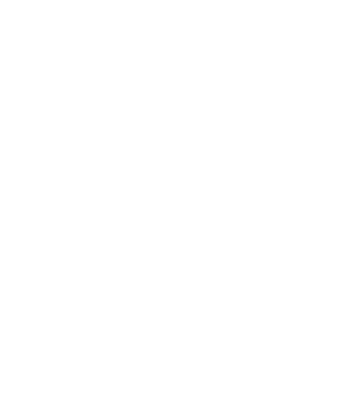 TOBOGANES ACUATICOS..